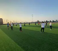 关于课后服务情况说明